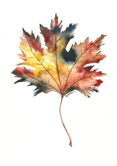 a watercolor painting of a leaf on a white background