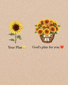 two sunflowers with the words your plan and god's plan for you