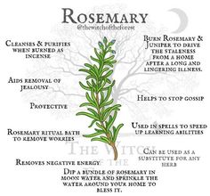 the rosemary plant is shown with its names