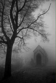 a black and white photo of a church on a foggy day with trees in the foreground