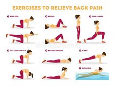 a woman doing exercises to reduce back pain in the gym royalty illustration on white background