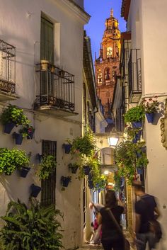 people are walking down an alley way in the city at night with potted plants on either side