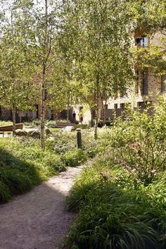 a path in the middle of a park with trees and bushes on both sides leading to an apartment building