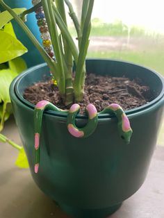 a potted plant with pink and green decorations