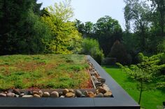 a green roof with rocks and grass in the foreground, surrounded by wooded area