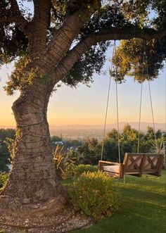 a wooden swing hanging from the side of a tree