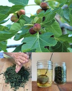 two pictures with different types of leaves and food in them