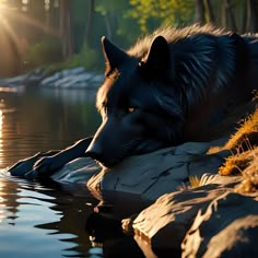 a black wolf laying on top of a rock next to water