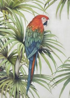 a colorful parrot sitting on top of a palm tree next to green plants and leaves