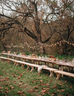 a long table set up for an outdoor dinner party with lights strung from the trees