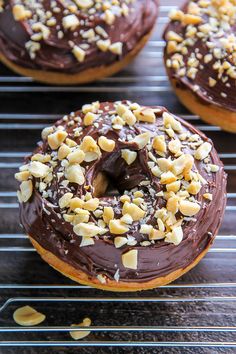 chocolate frosted doughnuts with nuts on top