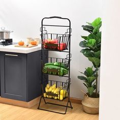 a kitchen with a plant and fruit on the counter