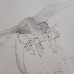 a drawing of a dragon with its mouth open