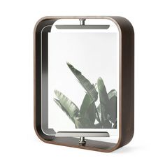 a mirror with some plants in it on a white surface and one is reflecting the light