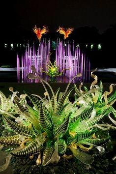 a large green plant sitting in front of a fountain