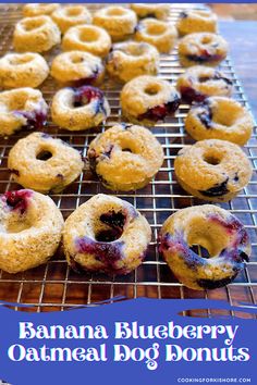 blueberry oatmeal dog donuts on a cooling rack with the words, banana blueberry oatmeal dog donuts