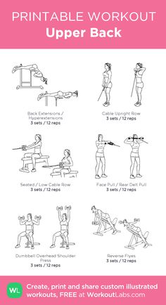 the printable workout guide for upper back