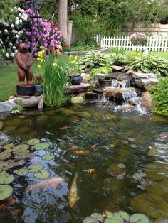 a pond with fish and flowers in it