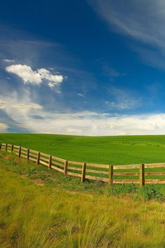 a green field with a wooden fence in the foreground