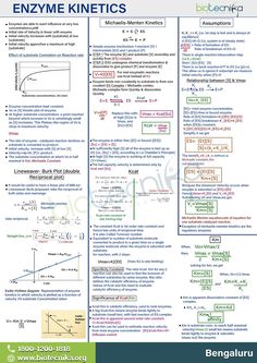 the poster shows how to use an ezyme kinetics for physics and engineering