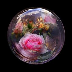 a pink rose in a glass bowl with leaves and flowers on the inside, against a black background