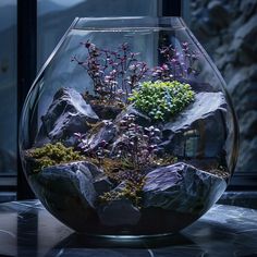 a glass vase filled with plants and rocks