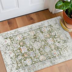 a rug on the floor next to a potted plant in front of a door