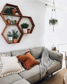 a living room filled with furniture and potted plants on top of shelving units