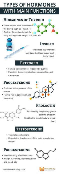 an info sheet describing the different types of chemicals and how they are used to make them