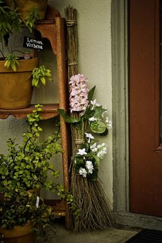 some plants are sitting on a shelf outside