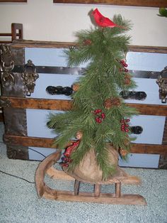 a small christmas tree sitting on top of a wooden sled in front of a chest