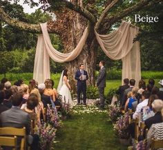 a couple getting married under a large tree