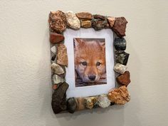 a frame made out of rocks with a picture of a fox in it