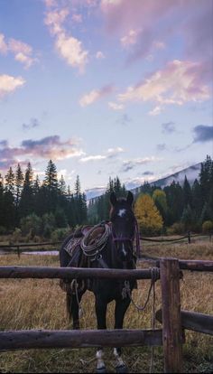 a horse that is standing in the grass next to a fence and some trees with mountains in the background