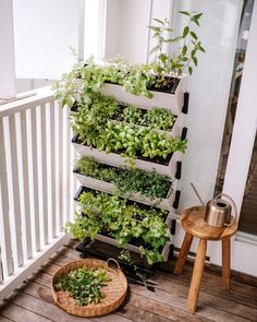 a vertical herb garden on the front porch