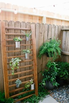 a wooden trellis with potted plants in it next to a small garden area