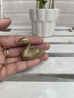 a person holding a gold ring with a bird on it's finger and a plant in the background