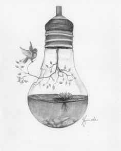 a drawing of a light bulb with a tree branch in it and a bird flying around