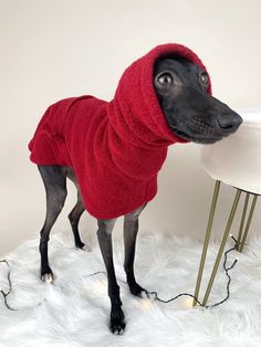 a black dog wearing a red sweater standing next to a white table with a lamp on it