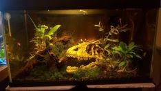 an aquarium filled with plants and dead animals in the middle of it's tank