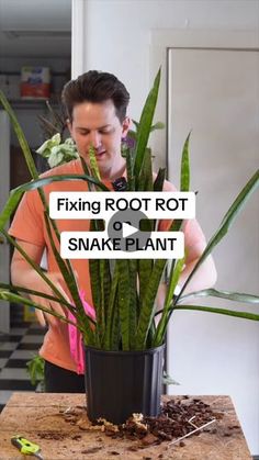 a man standing next to a potted plant on top of a wooden table