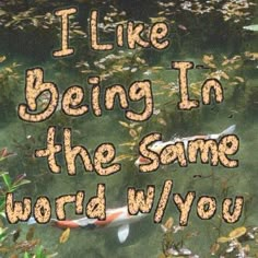 there are fish in the water with words above it that says i like being in the same world