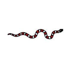 a red and black snake on a white background