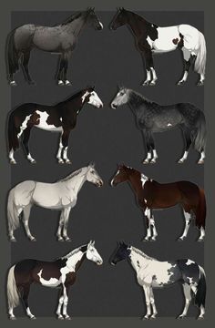 several different types of horses standing next to each other on a gray background with black and white outlines