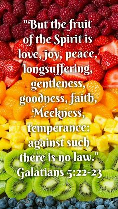 Galatians 5:22-23 (KJV) But the fruit of the Spirit is love, joy, peace, longsuffering, gentleness, goodness, faith, Meekness, temperance: against such there is no law. Fruit Diet Plan, Fruit Juice Packaging, Fruit Appetizers, Salads For A Crowd, Fruit Diet, Fluff Desserts, Fruit Logo, Appetizers Easy Finger Food, Fruit Party