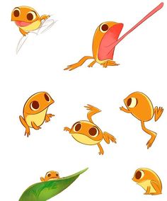 an image of different types of frogs