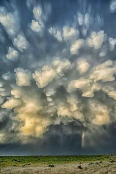 the sky is full of clouds and a rainbow in the distance with an animal standing under it