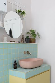 a bathroom sink sitting under a mirror next to a shelf with potted plants on it