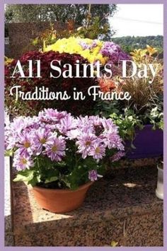 a potted plant with purple flowers in it and the words, all saints day traditions in france