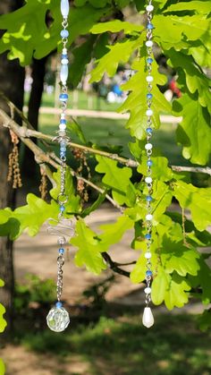 the beads are hanging from the tree in the park